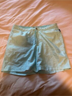 Light Aqua Gingham Swim Shorts